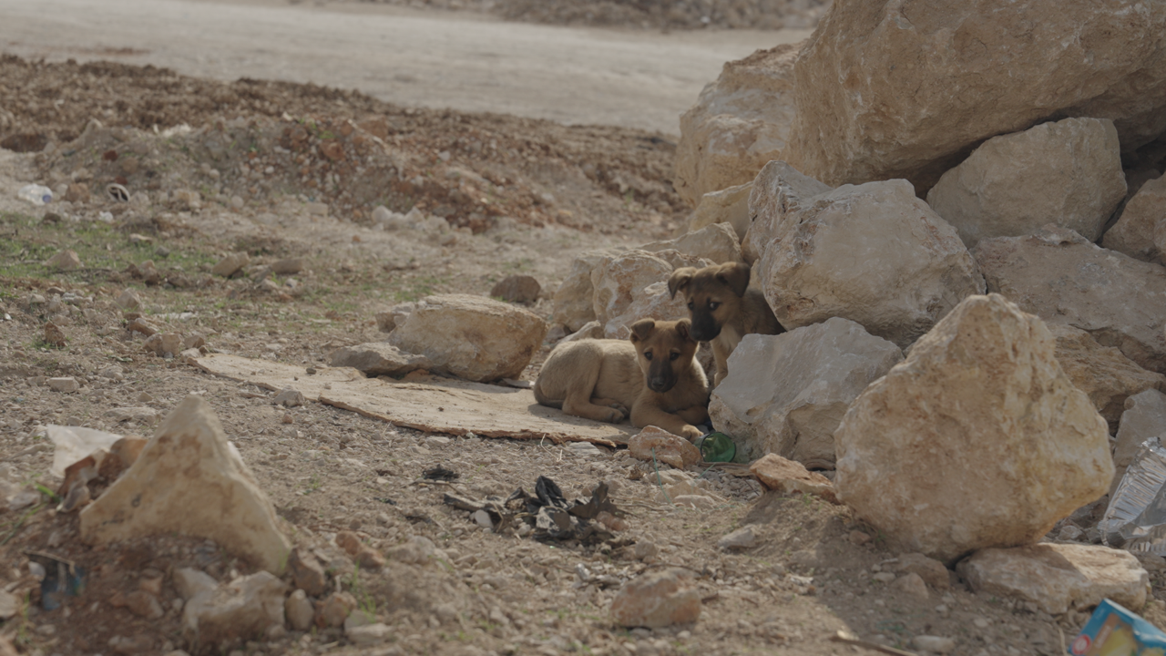 Arbeitsphotos_adrian%20huber%202.%20Groß